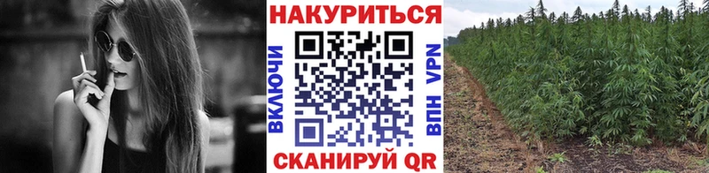 Как найти наркотики Куртамыш ГАШ  КОКАИН  Меф мяу мяу  Конопля 