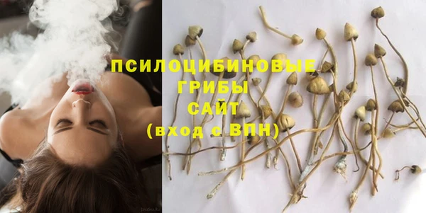 эйфоретик Инта