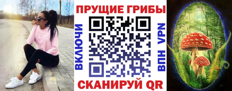 ОМГ ОМГ сайт  Куртамыш  Галлюциногенные грибы Cubensis 