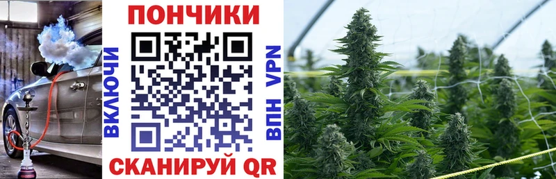 Канабис Amnesia  Куртамыш 